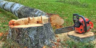 Best Firewood Processing and Delivery  in Cedarburg, WI